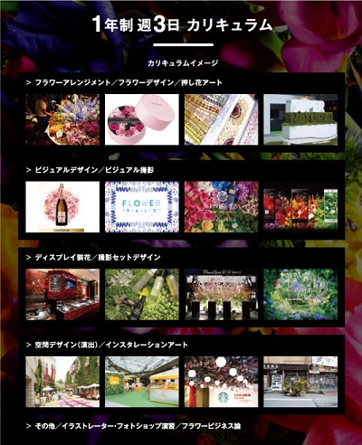 VDI_botanical_curriculum_resize.jpg